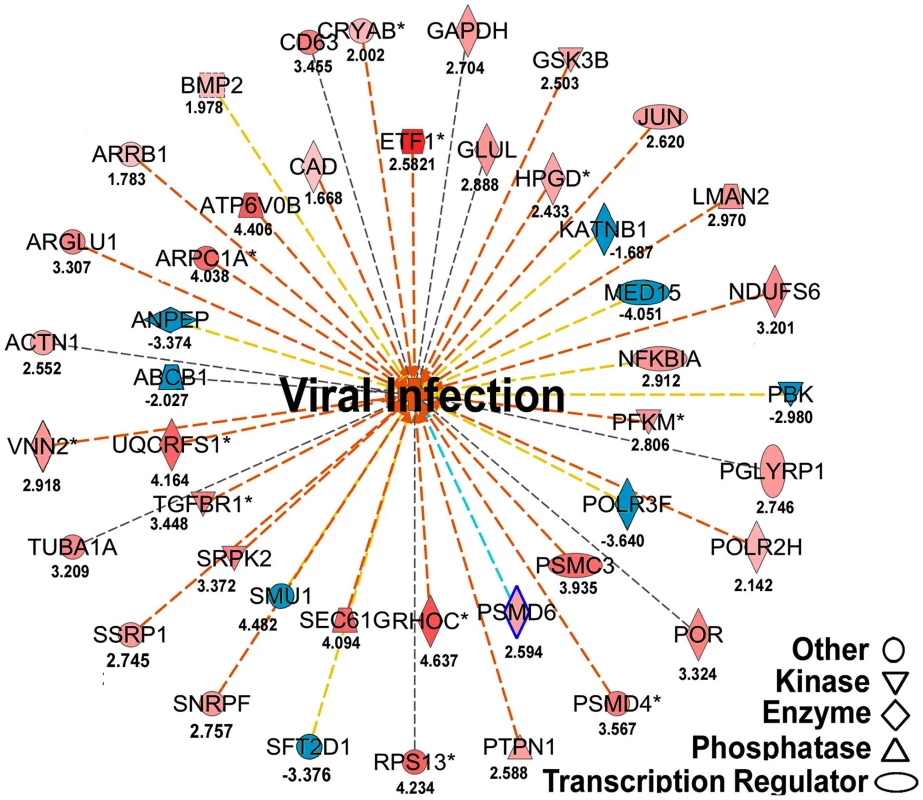 Regulated molecules that are involved in host metabolism and immunity.