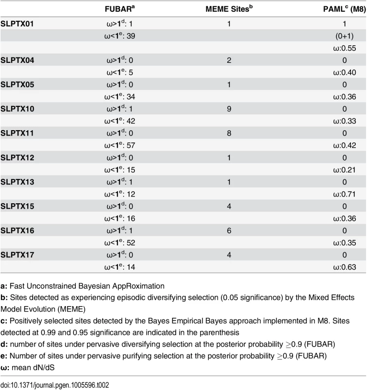 Molecular evolution of scoloptoxins.