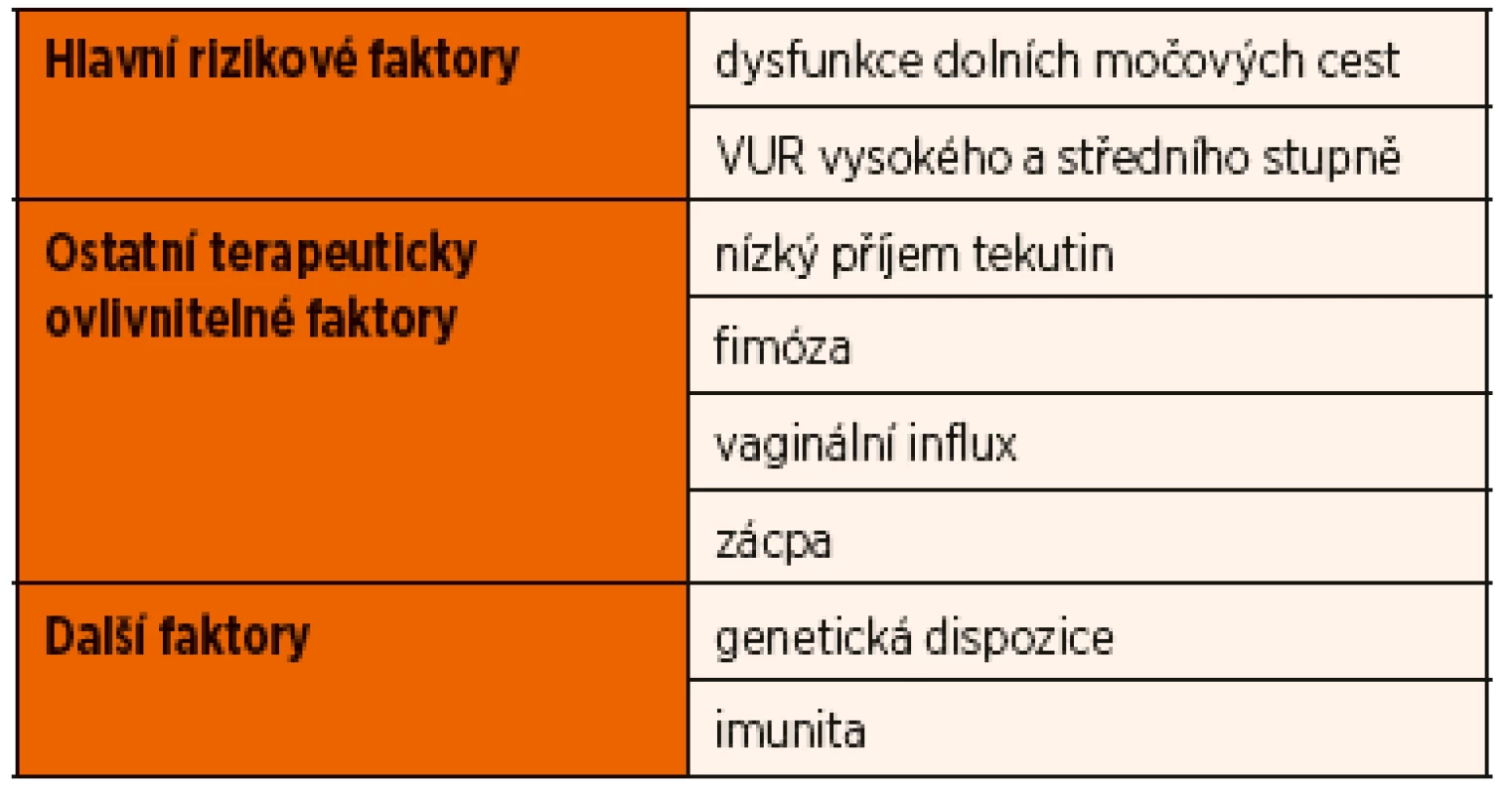 Rizikové faktory recidivujících IMC.
