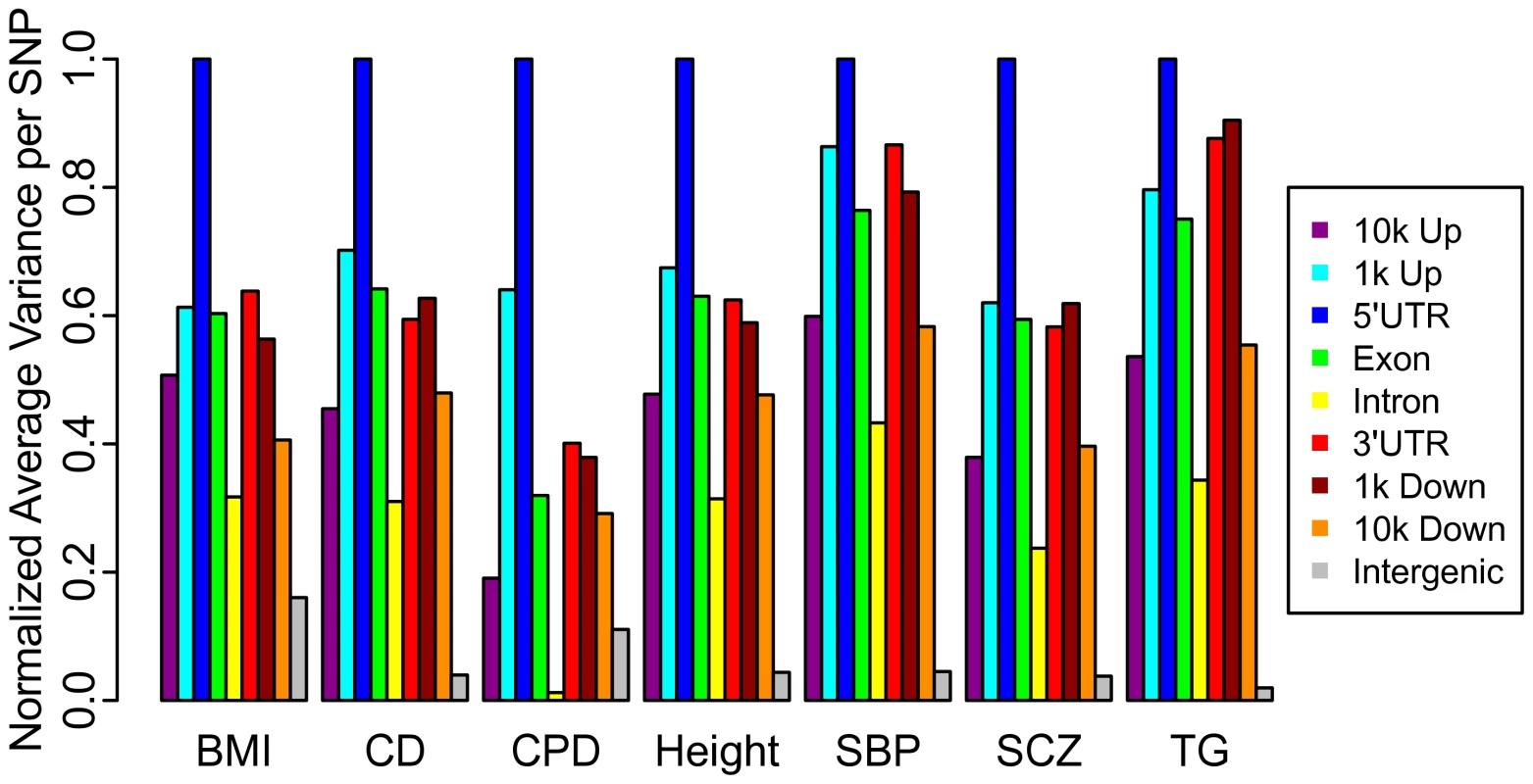 Categorical enrichment for seven diverse phenotypes.