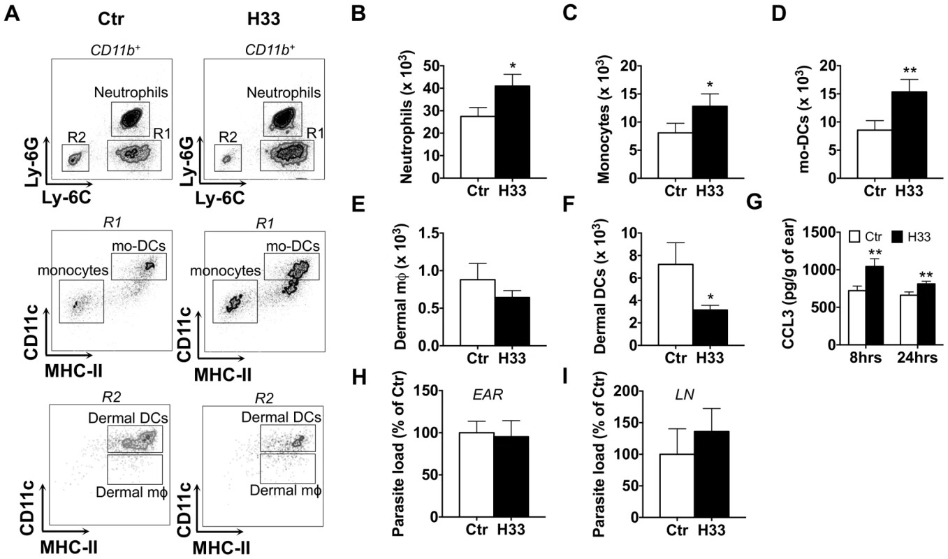 Blocking JAM-C increases the number of leukocytes recruited to the site of <i>L. major</i> infection.