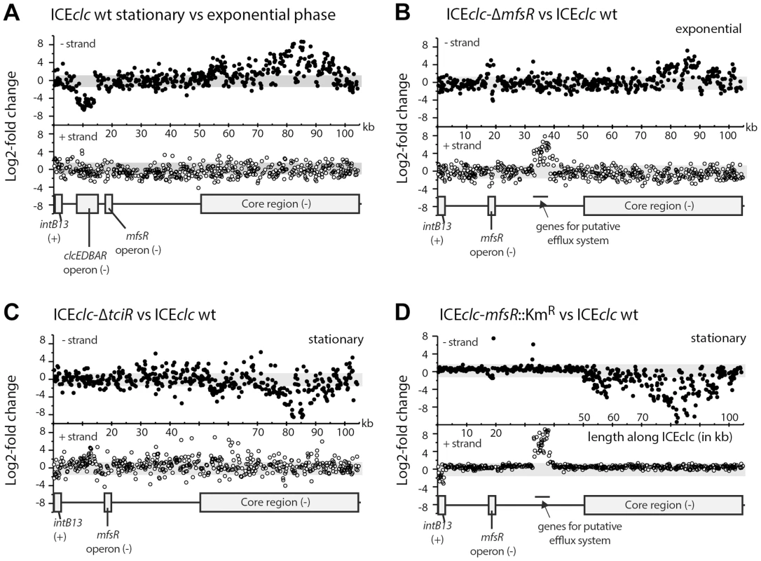 Differential expression of the ICE<i>clc</i> gene region from micro-array data in selected mutant ICE<i>clc</i> versus wild type in <i>P. putida</i> UWC1.