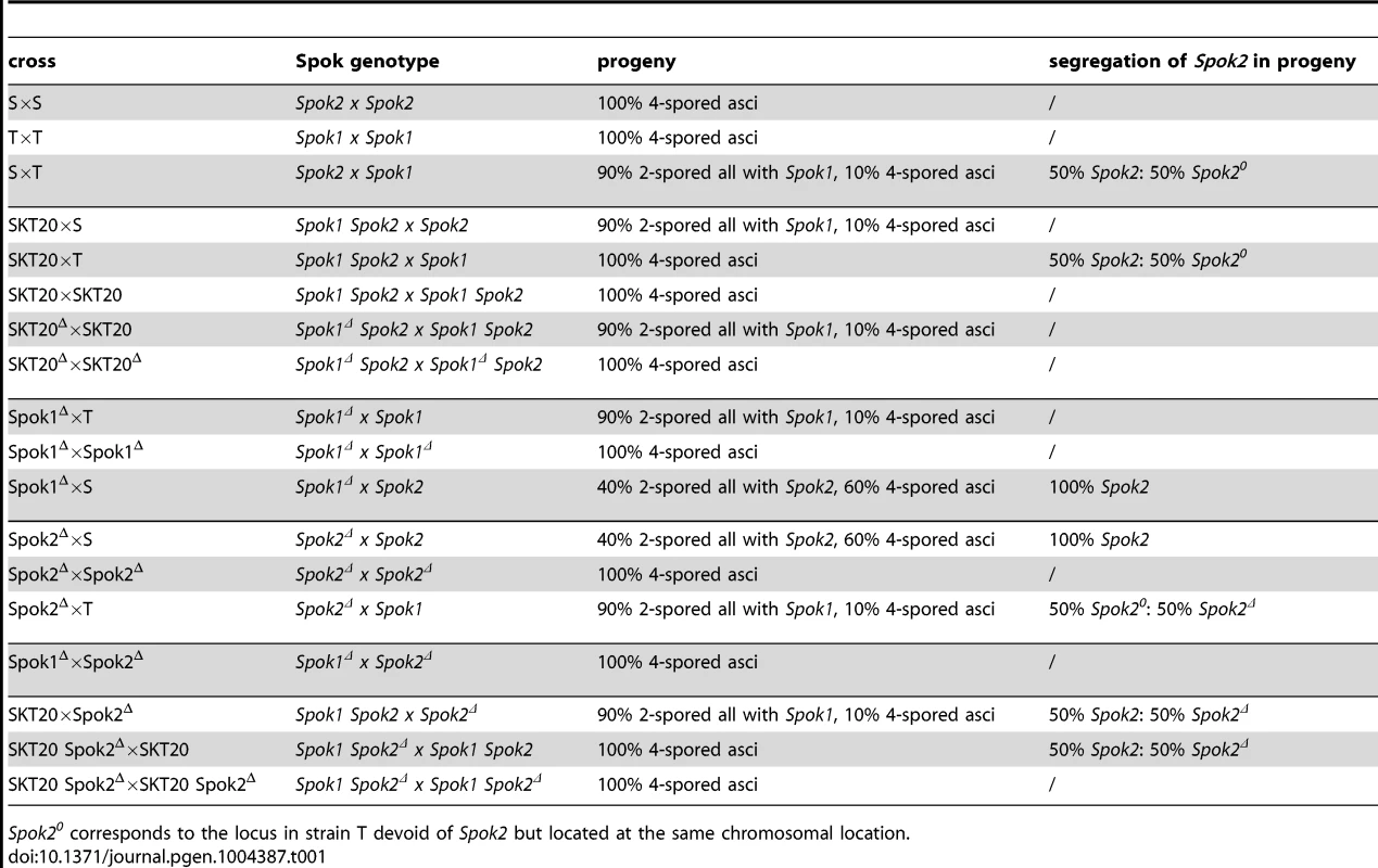 Progeny analysis of Spok crosses.