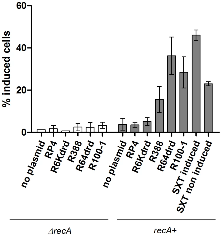 Conjugation induces <i>V. cholerae</i> integron integrase <i>intIA</i> expression.