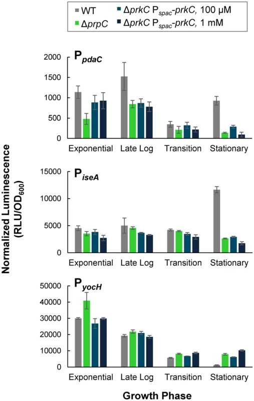 PrkC overexpression phenocopies Δ<i>prpC</i> effects on expression of WalR regulon genes.