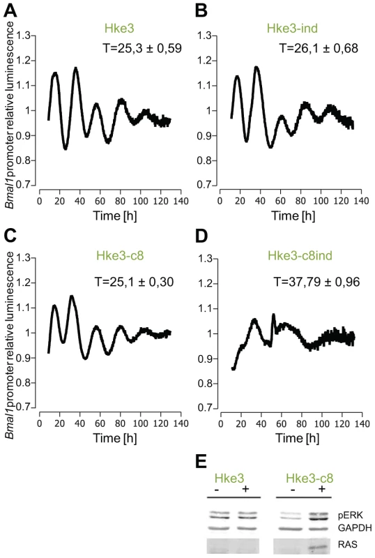 Effect of KRAS induction in HKe3 and HKe3 clone 8 cell lines.