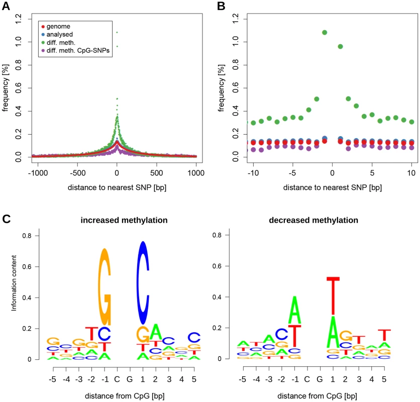 Sequence variation around differentially methylated CpGs.