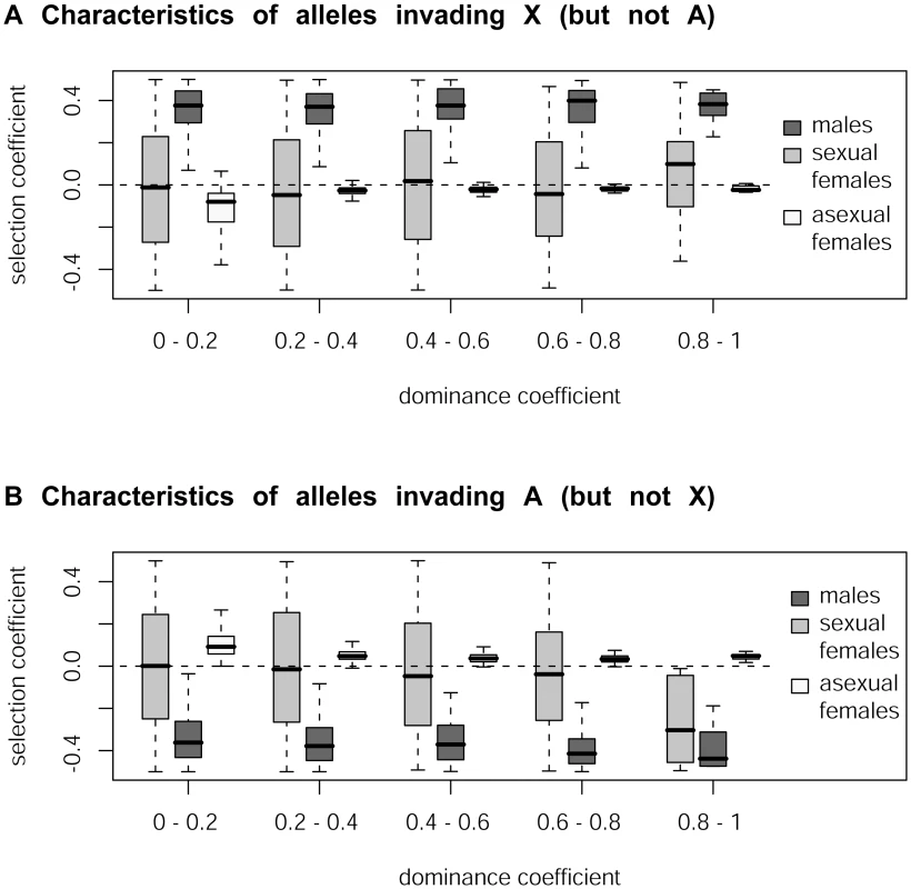 Simulation of the accumulation of sexually antagonistic mutations on X chromosome and autosomes in aphids.