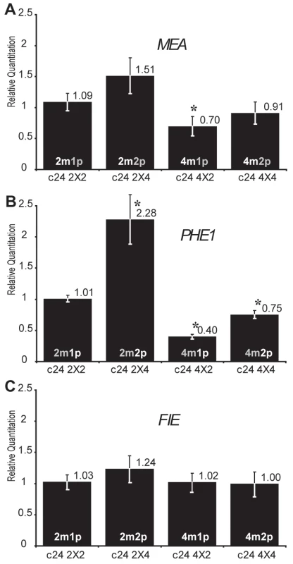 Effects of interploid crosses on the expression of genes imprinted by Polycomb group activity.