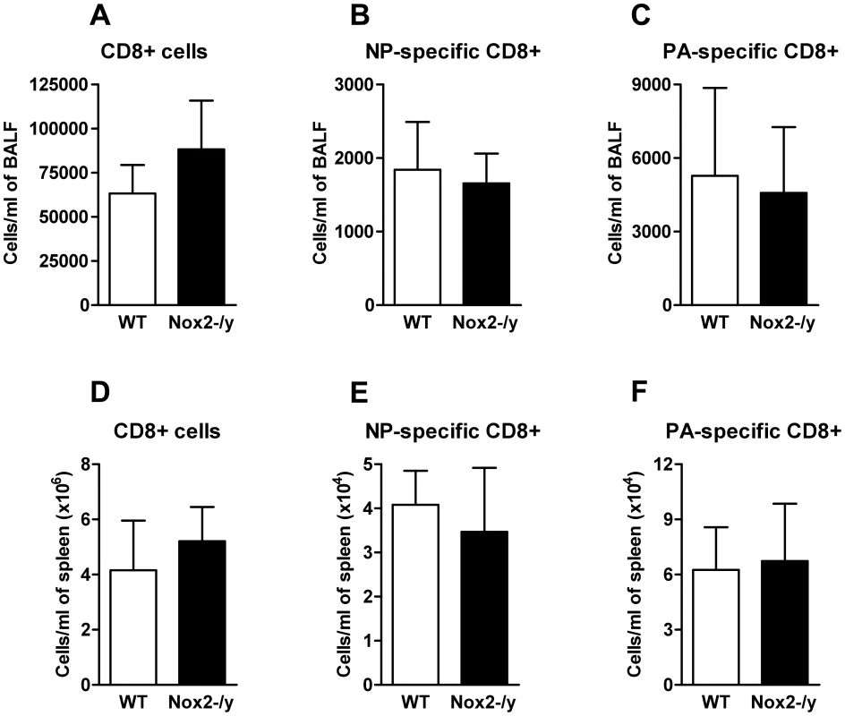 Number of the CD8+ T cell response.