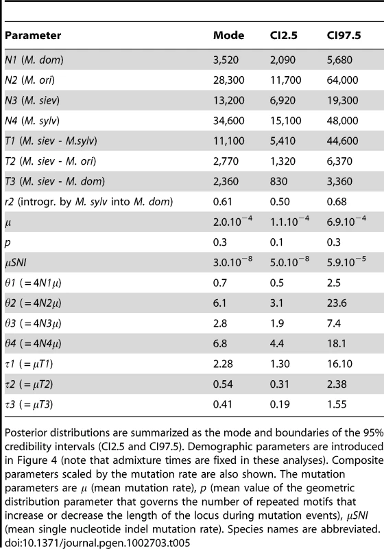 Demographic and mutation parameters estimated using approximate Bayesian computation for model <i>c</i>.