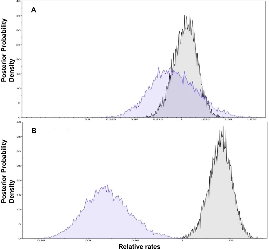 Posterior probability densities for the relative substitution rates.