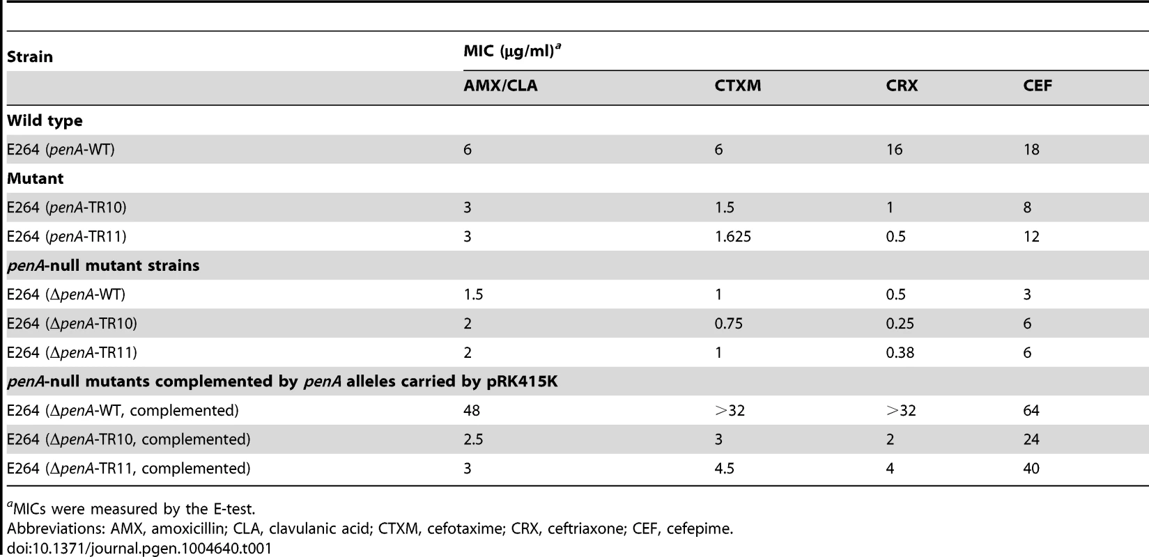 MICs for various β-lactams with <i>B. thailandensis</i> strains.