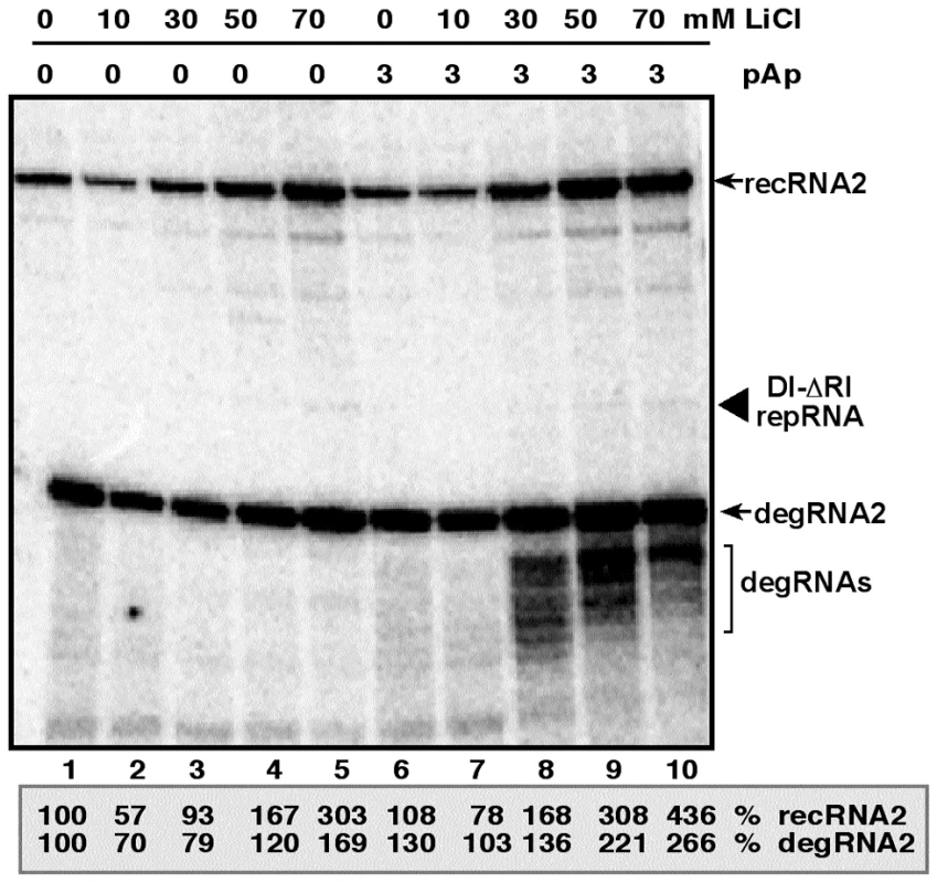 Increased accumulation of TBSV recRNA in <i>N. benthamiana</i> protoplasts by treatment with LiCl and pAp.