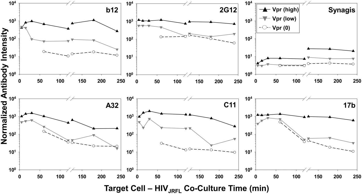 Exposure of gp120 epitopes on Vpr subpopulations of TZM-bl cell-bound HIV<sub>JRFL</sub> virions.