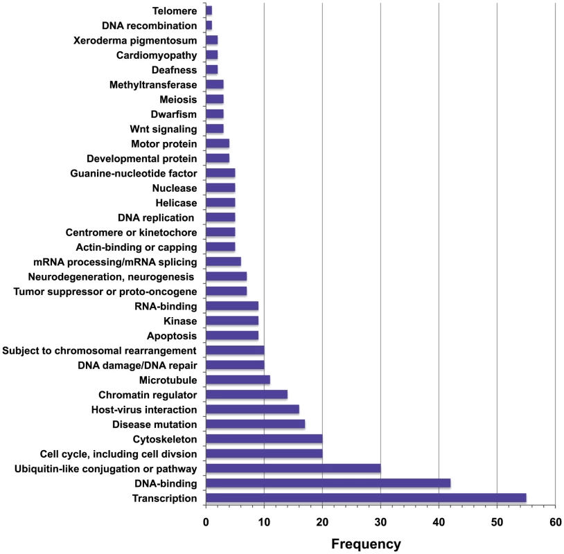 Histogram showing the frequencies of UniProt keywords for proteins that co-purify with SWI/SNF factors.