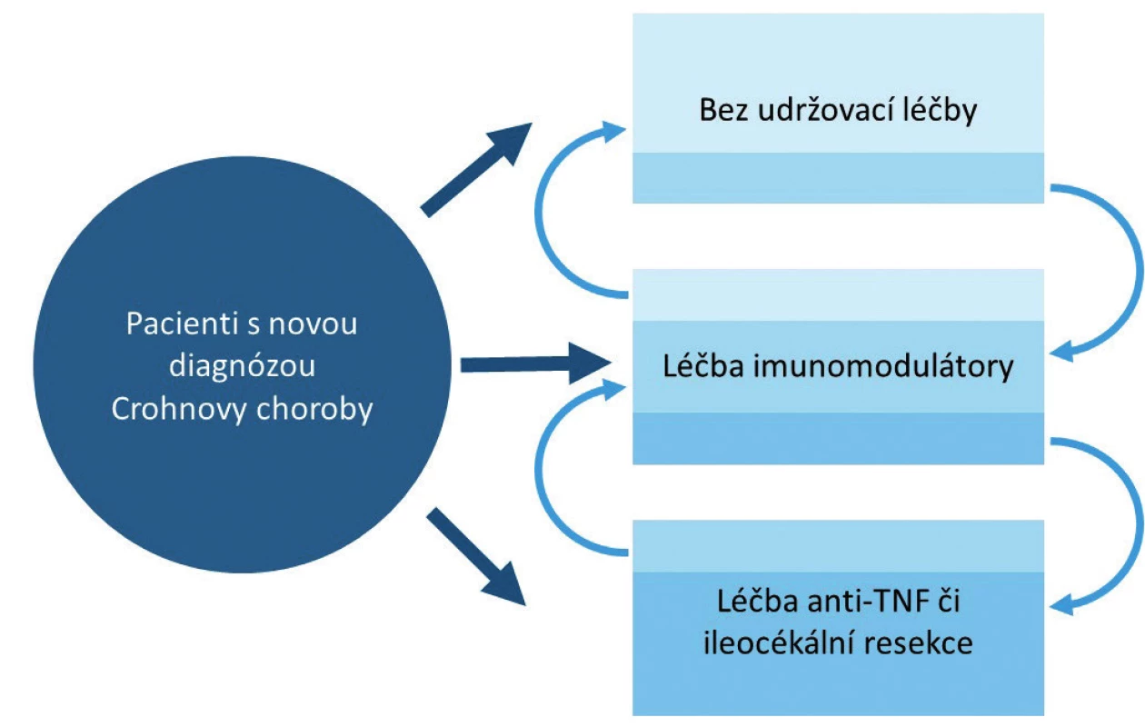 Možnosti udržovací léčby u dětských pacientů s Crohnovou chorobou.