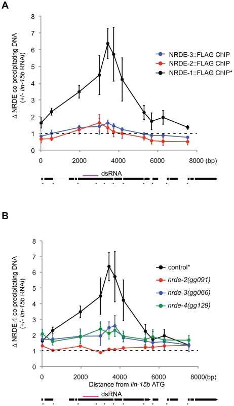 NRDE-1 associates with chromatin at genomic loci targeted by RNAi.