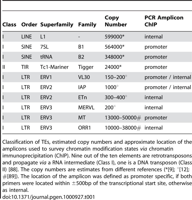 Transposable elements analysed in this study.