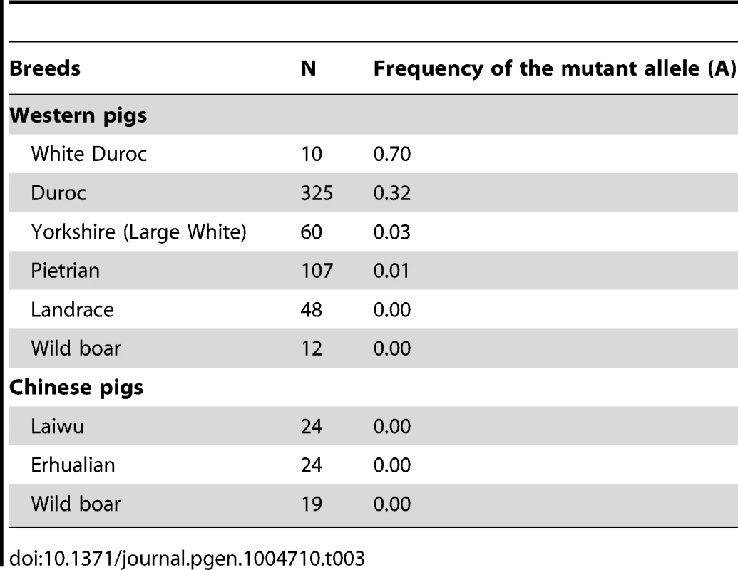 Allele frequency distribution of <i>PHKG1</i> g.8283C&amp;gt;A in Western and Chinese pigs.