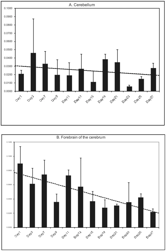 Developmental expression of LGI2 in mouse brain.