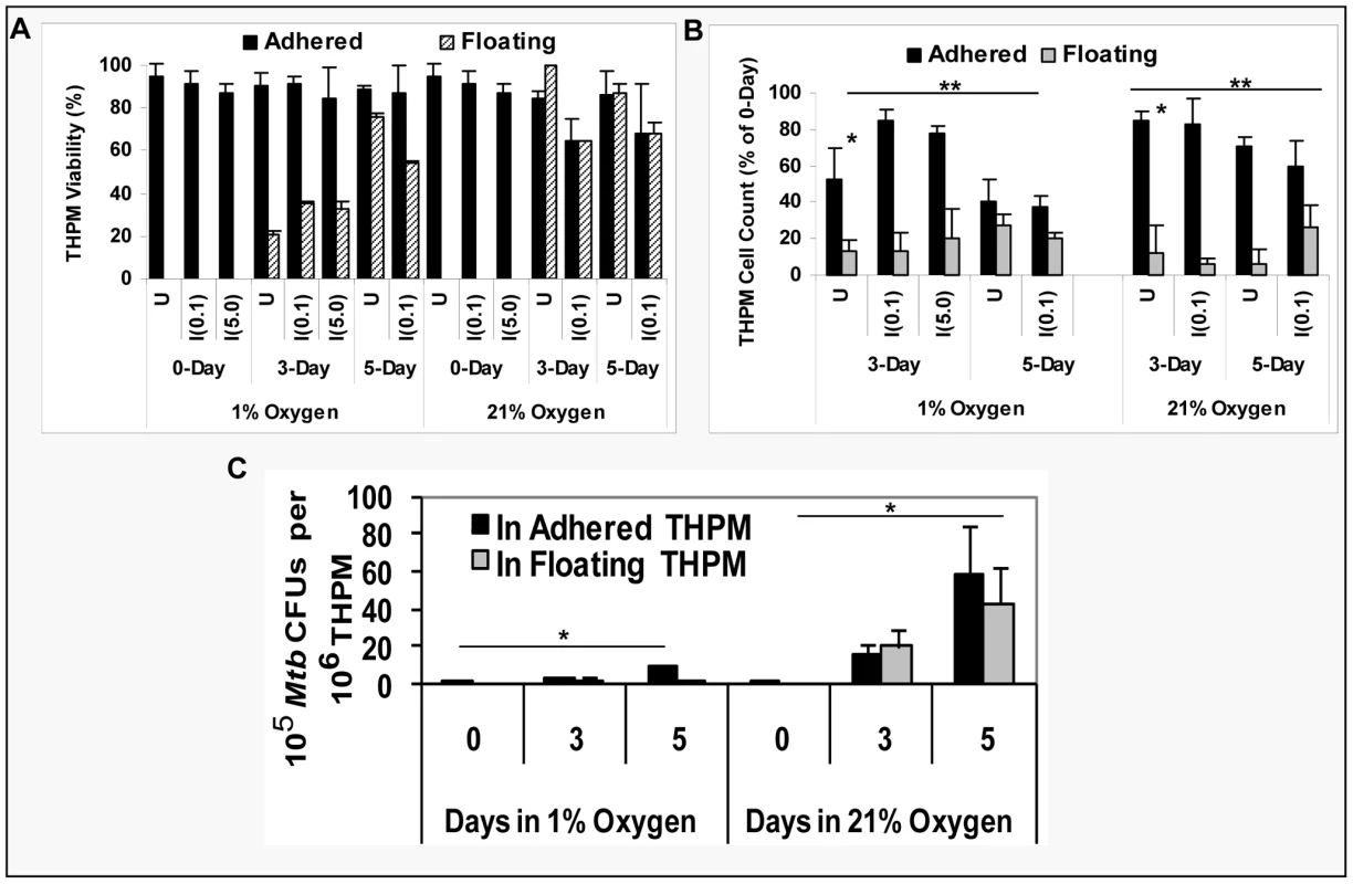 <i>Mtb</i> replicates slowly inside hypoxic lipid-loaded macrophages. A