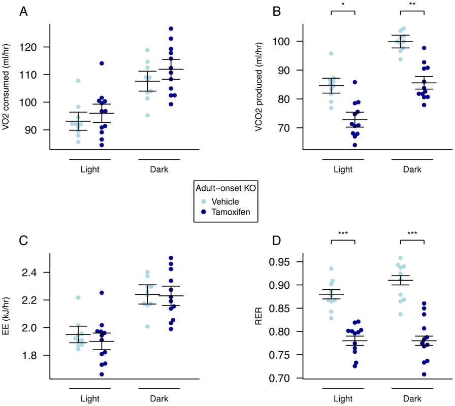 Energy expenditure and metabolism of male global adult onset KO mice.