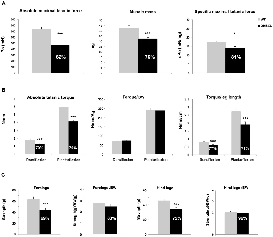Muscle force and strength measurement in DMSXL mice.