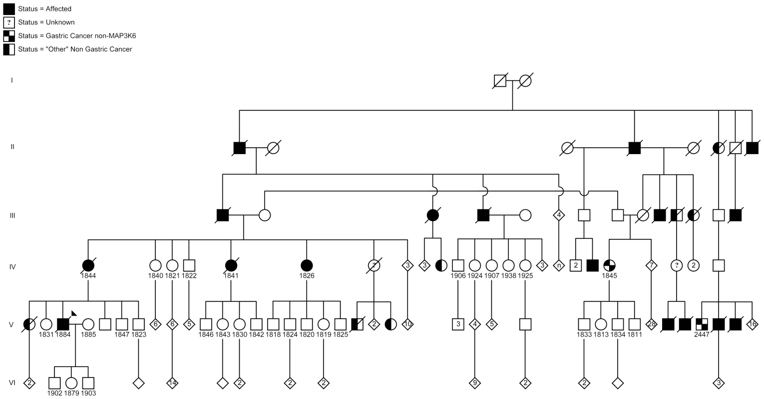 Pedigree of the Maritime Canadian family.