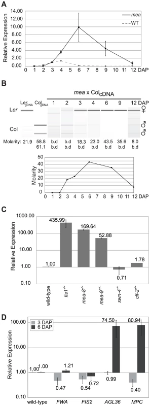 The maternal <i>AGL36</i> allele is regulated by the PRC2 FIS-complex.