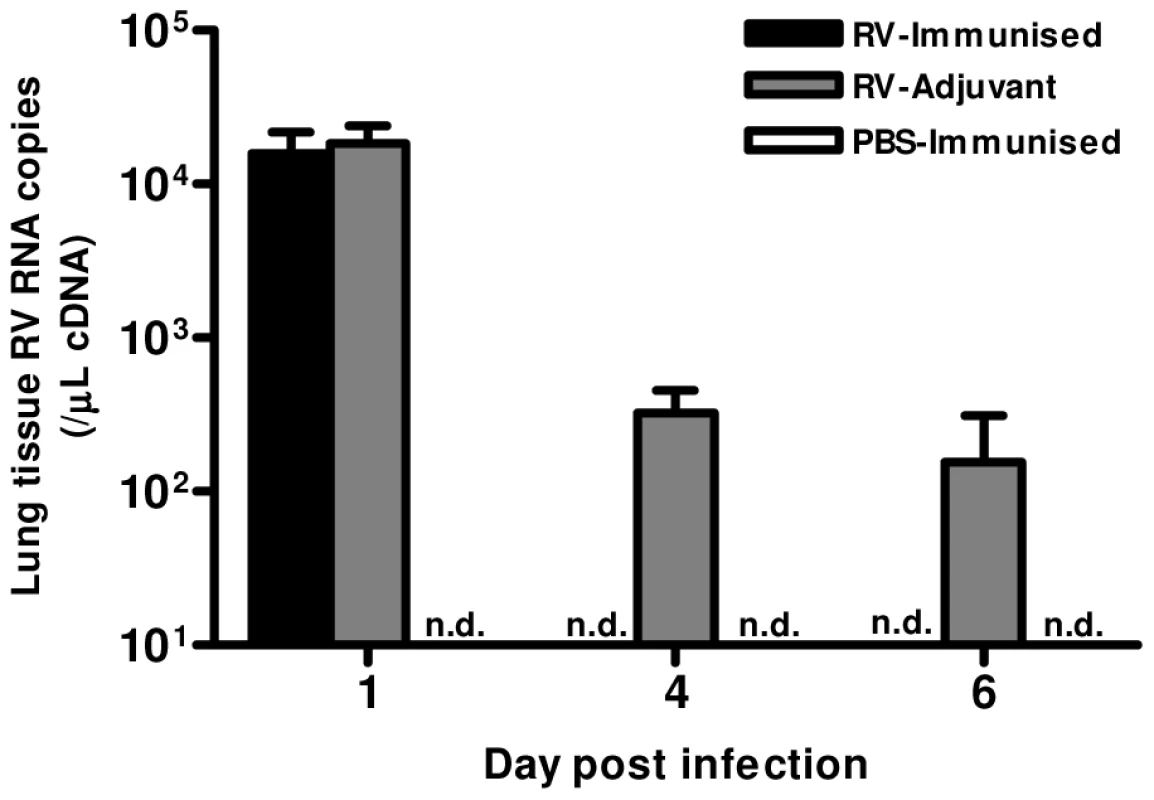 Immunization accelerates virus clearance.