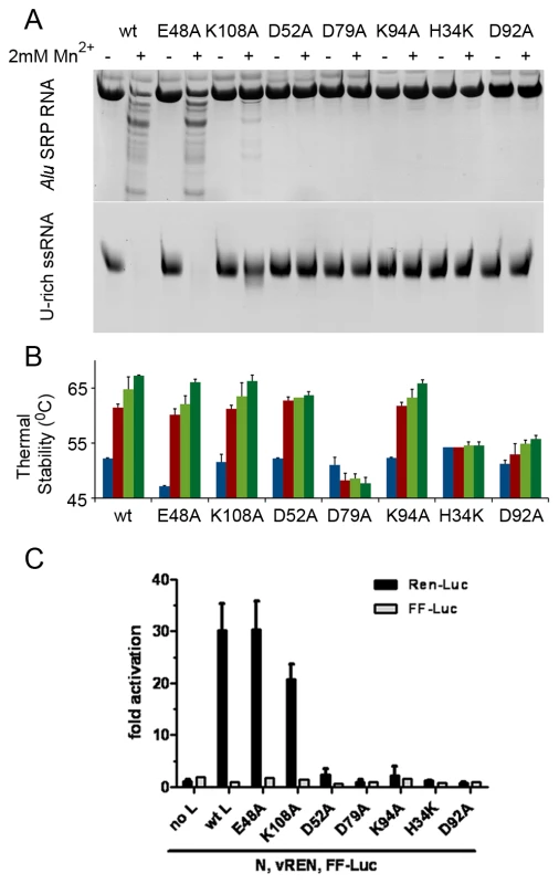 Mutational analysis of the <i>in vitro</i> nuclease activity and thermal stability of LC180.