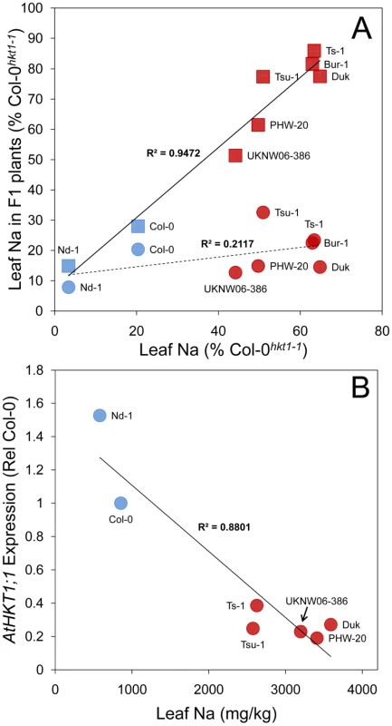 <i>AtHKT1;1</i> allele strength in various <i>A. thaliana</i> accessions assessed by genetic complementation and expression level.