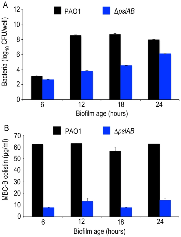Psl protection is independent of biofilm age up to 24 hours.