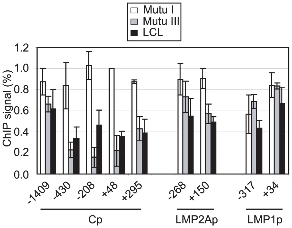 Pol II pausing at Cp prevents nucleosome assembly around the promoter.