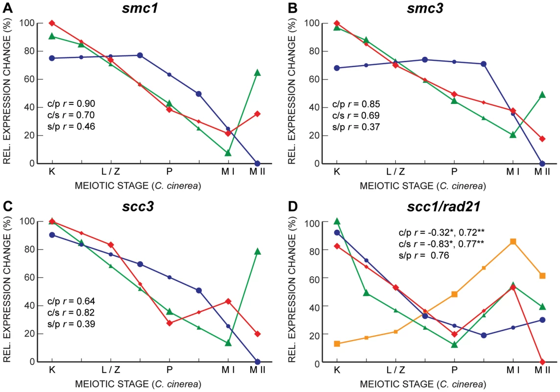 Gene expression profiles of cohesin subunits are well correlated between <i>C. cinerea</i> and <i>S. cerevisiae</i>, and between <i>C. cinerea</i> and <i>S. pombe</i>.