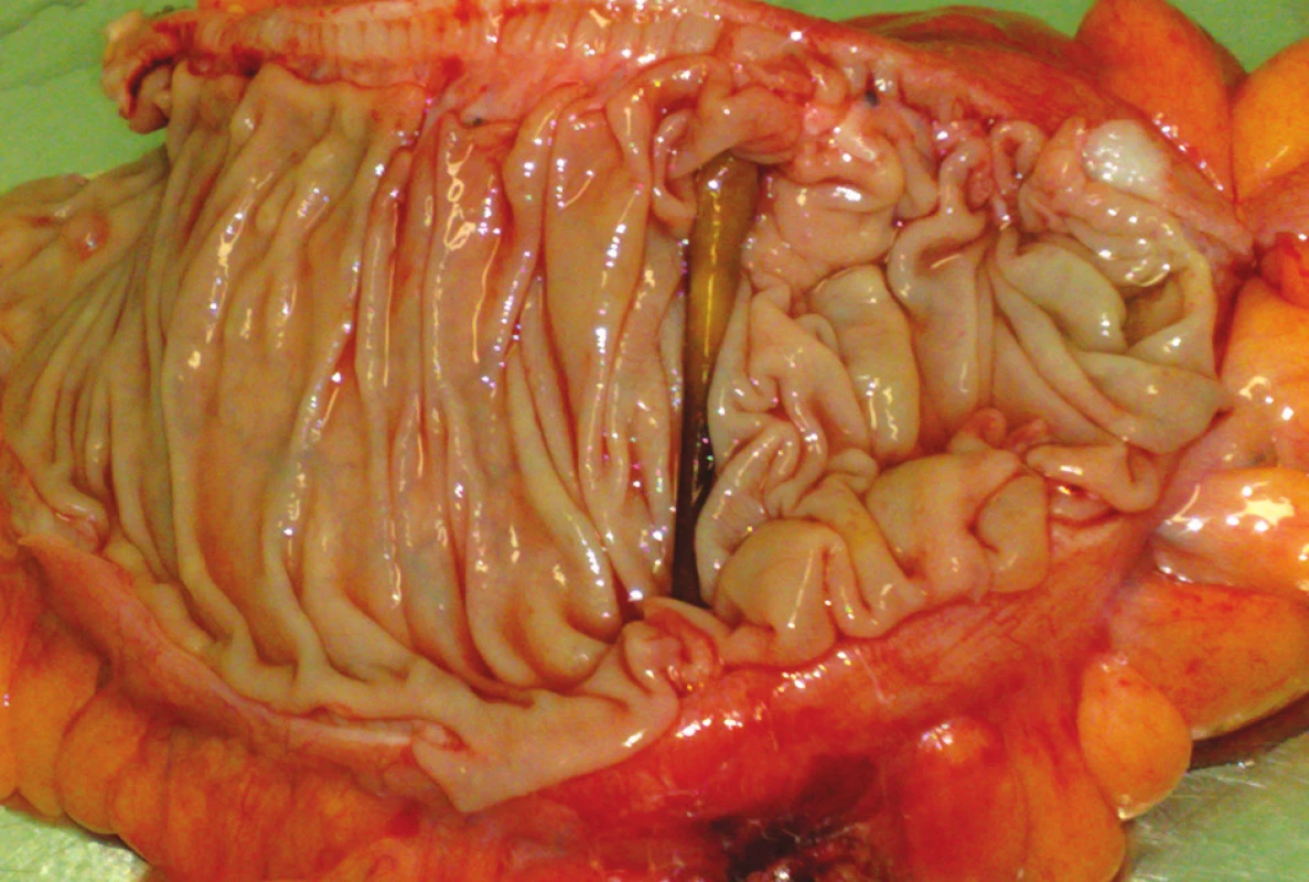 <br> Fig. 4.