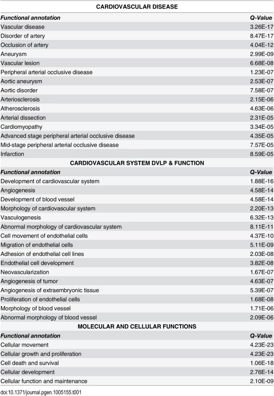 Functional annotation derived from analysis of differentially expressed genes in si<i>TCF21</i> RNA-Seq experiments.