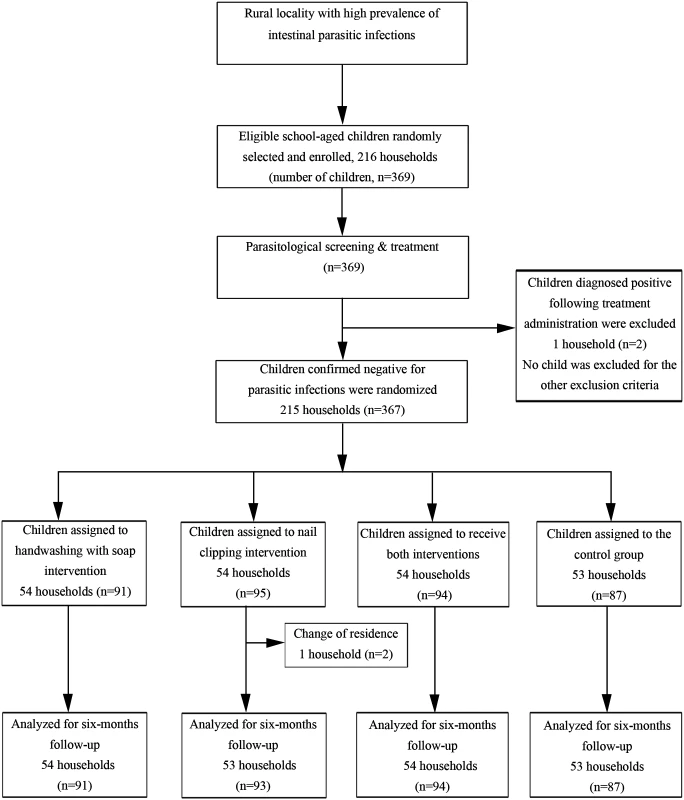 Trial profile: 2 × 2 factorial design.