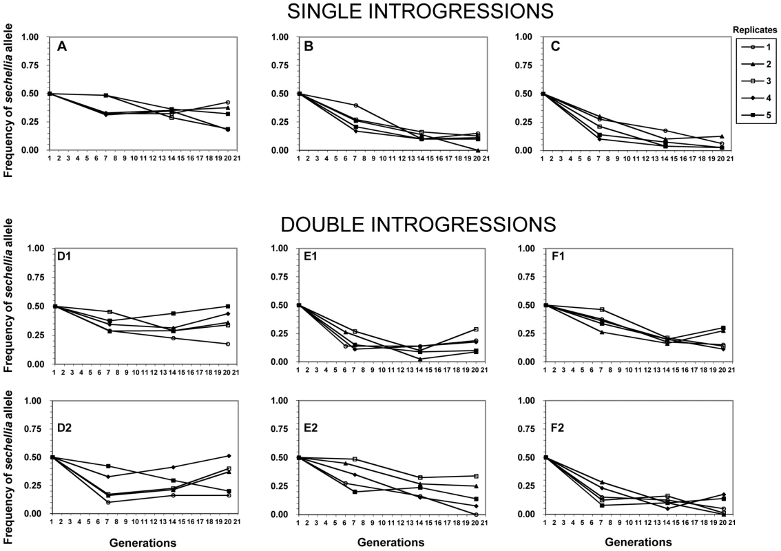 Frequencies of the nine <i>sechellia</i> markers in the six competition experiments over 20 generations.