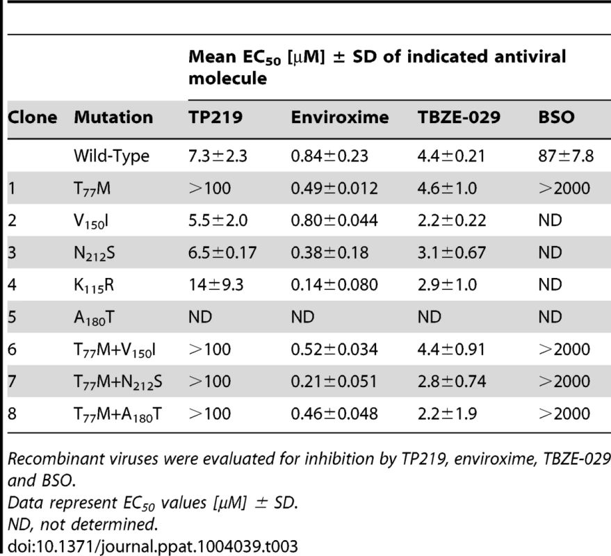 Resistance pattern of recombinant CVB3 viruses carrying mutations in VP1 and VP3, either alone or combined.