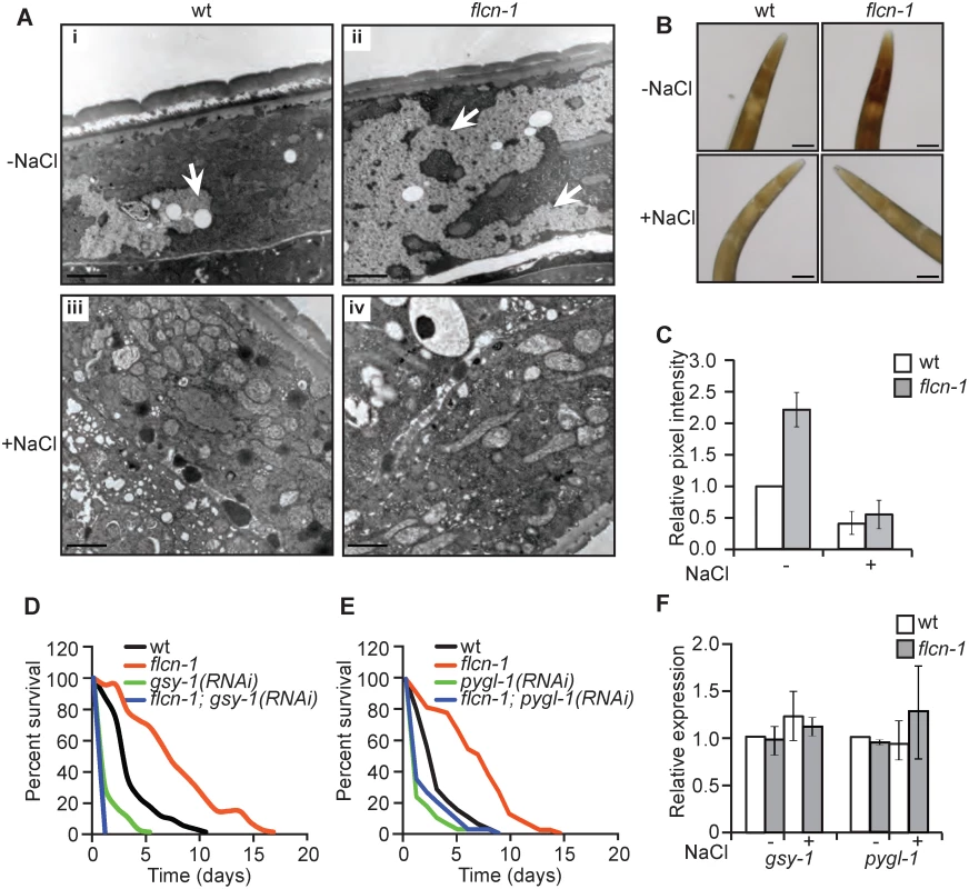 Loss of <i>flcn-1</i> increases glycogen content, which mediates resistance to hyperosmotic stress.