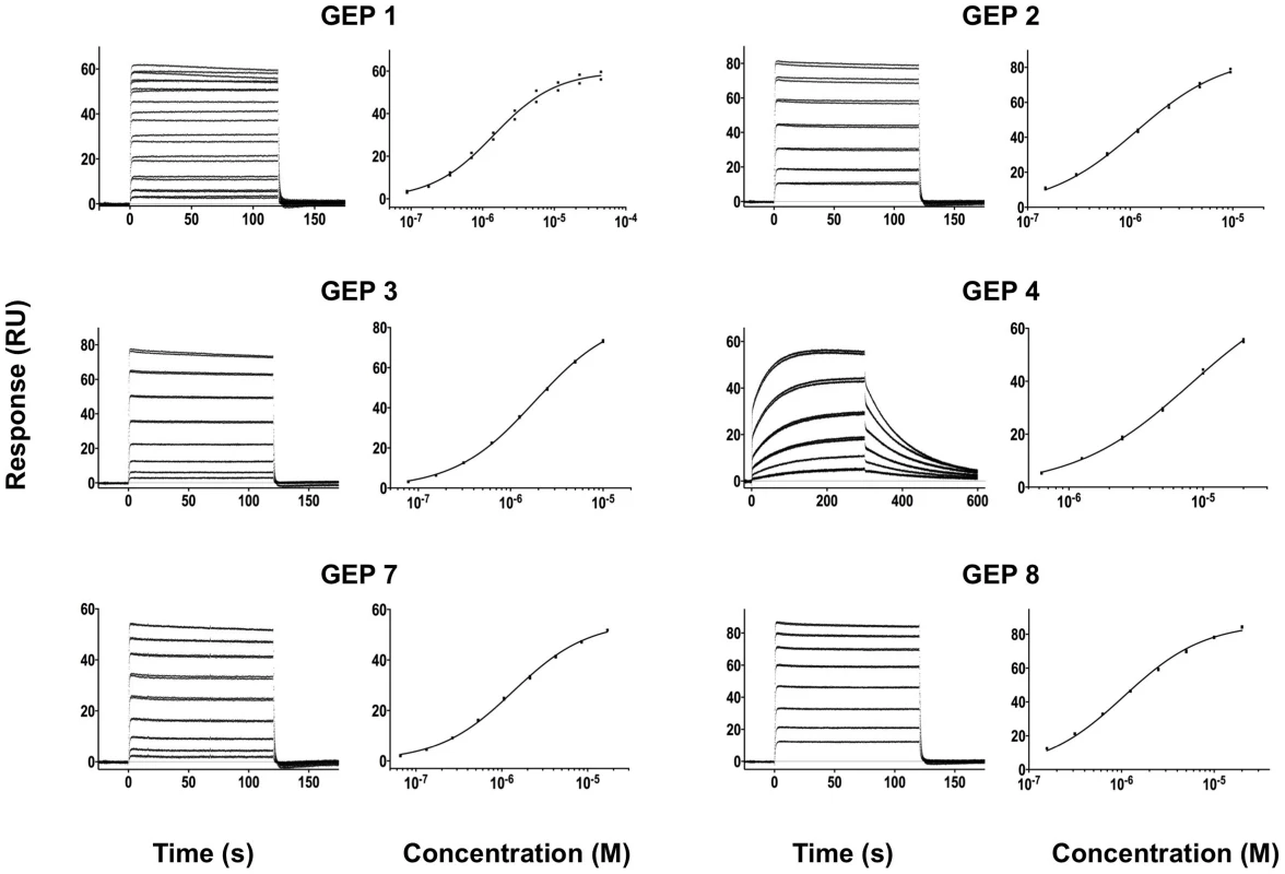 SPR sensorgrams of the interactions between ES T72 and the indicated GEPs (left plots) and the analysis of equilibrium responses versus concentration (right plots).