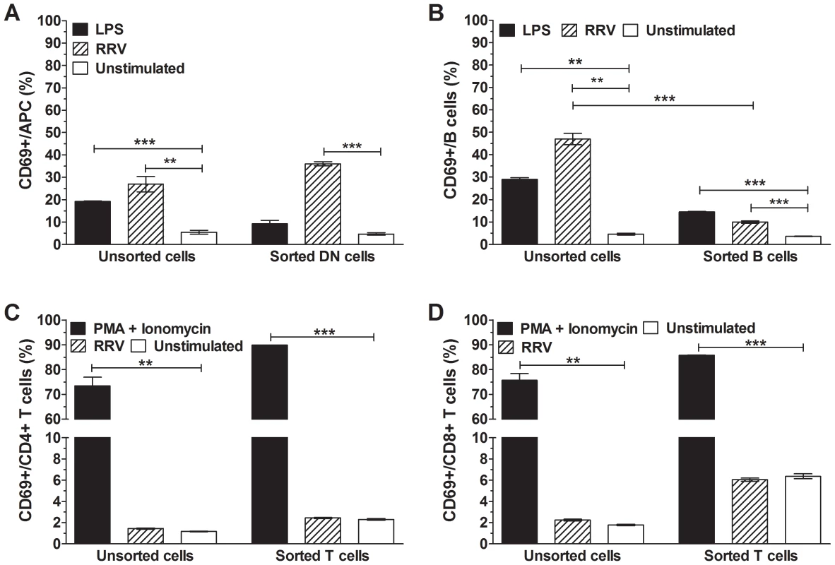 Activation of APCs, B cells, CD4<sup>+</sup> T cells and CD8<sup>+</sup> T cells by RRV.