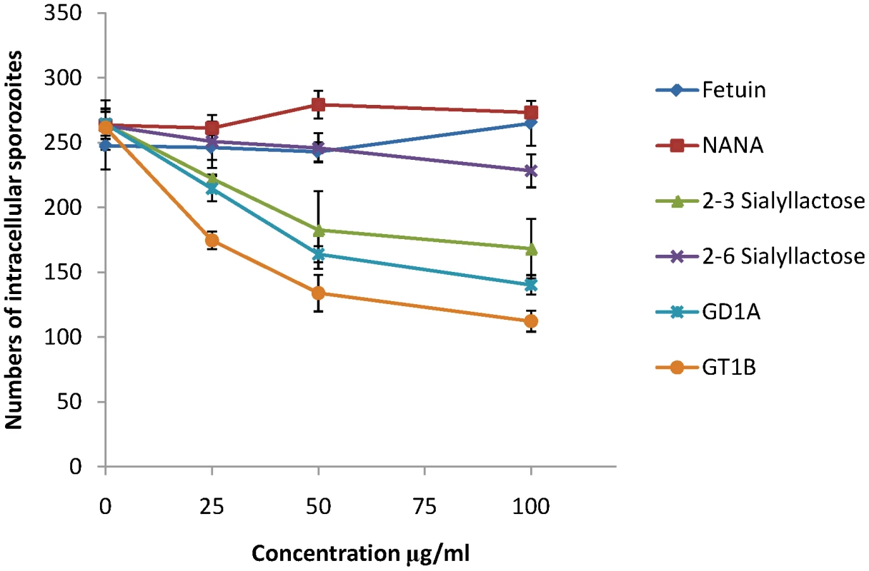 Sporozoite invasion of MDBK cells can be inhibited by sialic acid competitors.