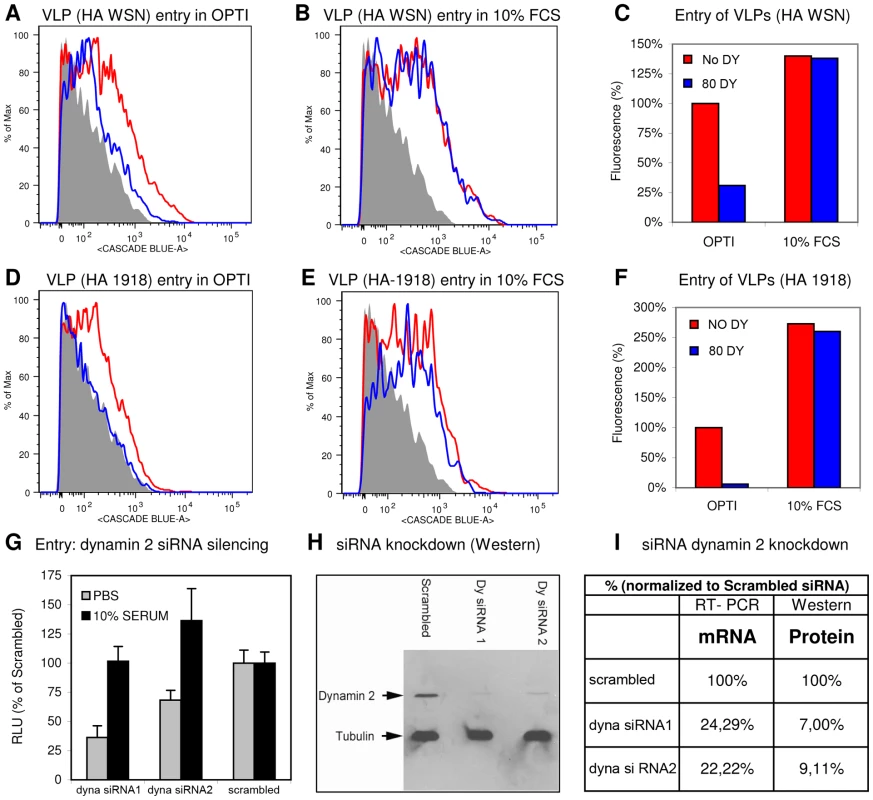 Identification of DYNA-IND entry in a VLP entry assay and by siRNA knockdown of dynamin 2.