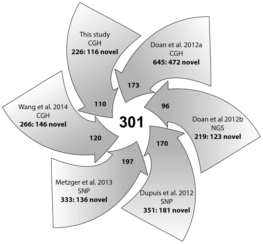 A summary diagram of all CNV studies in horses and their contribution to the integrated CNV dataset.