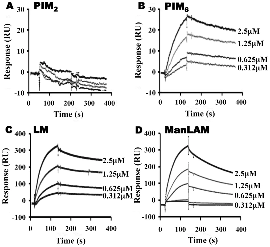 LprG V91W hydrophobic pocket mutation reduces binding of Mtb glycolipids and lipoglycans.