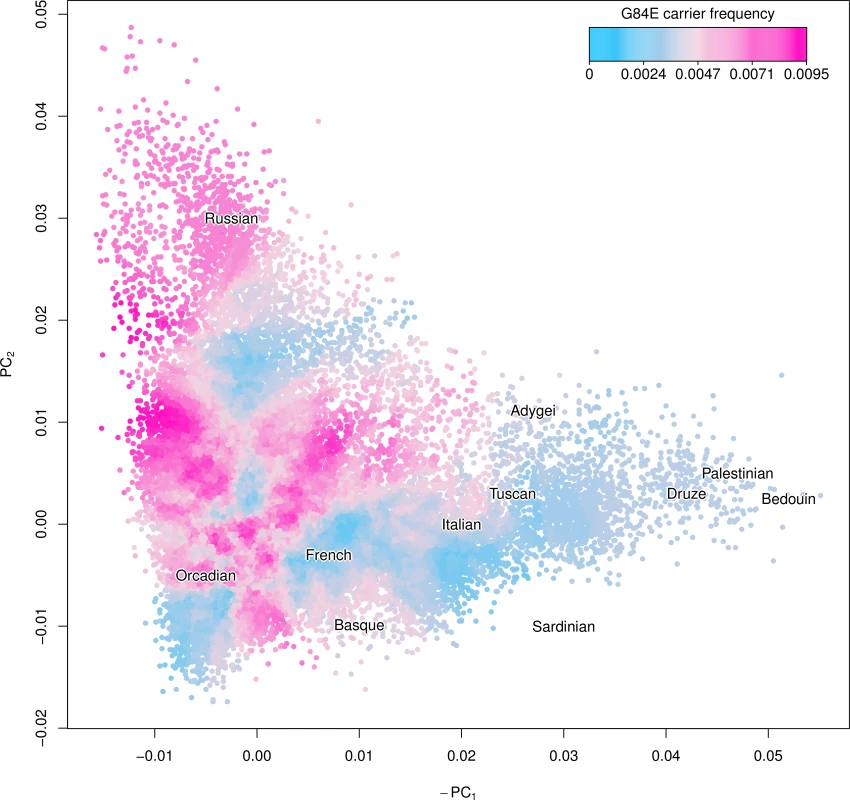 Ancestry of the HOXB13 G84E variant.