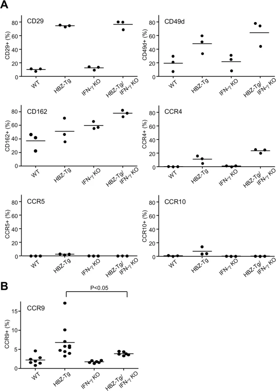 Expression of the chemokine receptors and adherent molecules on CD4<sup>+</sup> T cells of WT, HBZ-Tg, IFN-γ KO, and HBZ-Tg/IFN-γ KO mice.
